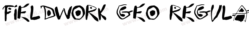 fieldwork Geo Regula字体转换